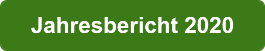 Jahresbericht 2020